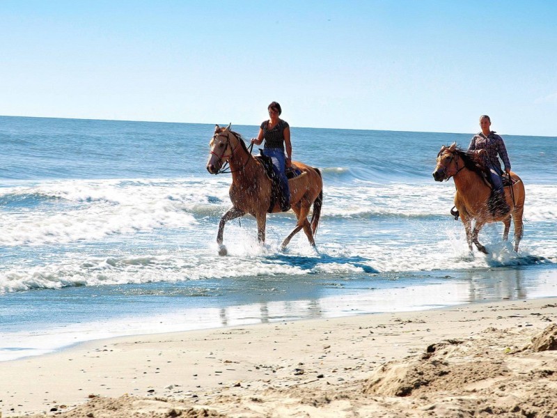 Salento Equi Club