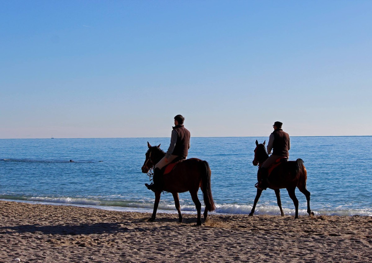 Salento Equi Club