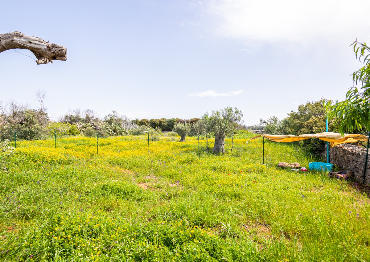 La villetta di campagna